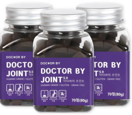 강아지 영양제 추천 TOP5