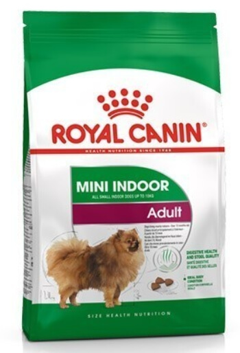 대형견 사료 추천 TOP5 구매가이드