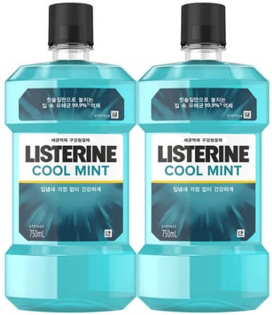 츄르 추천 고양이 간식 TOP5