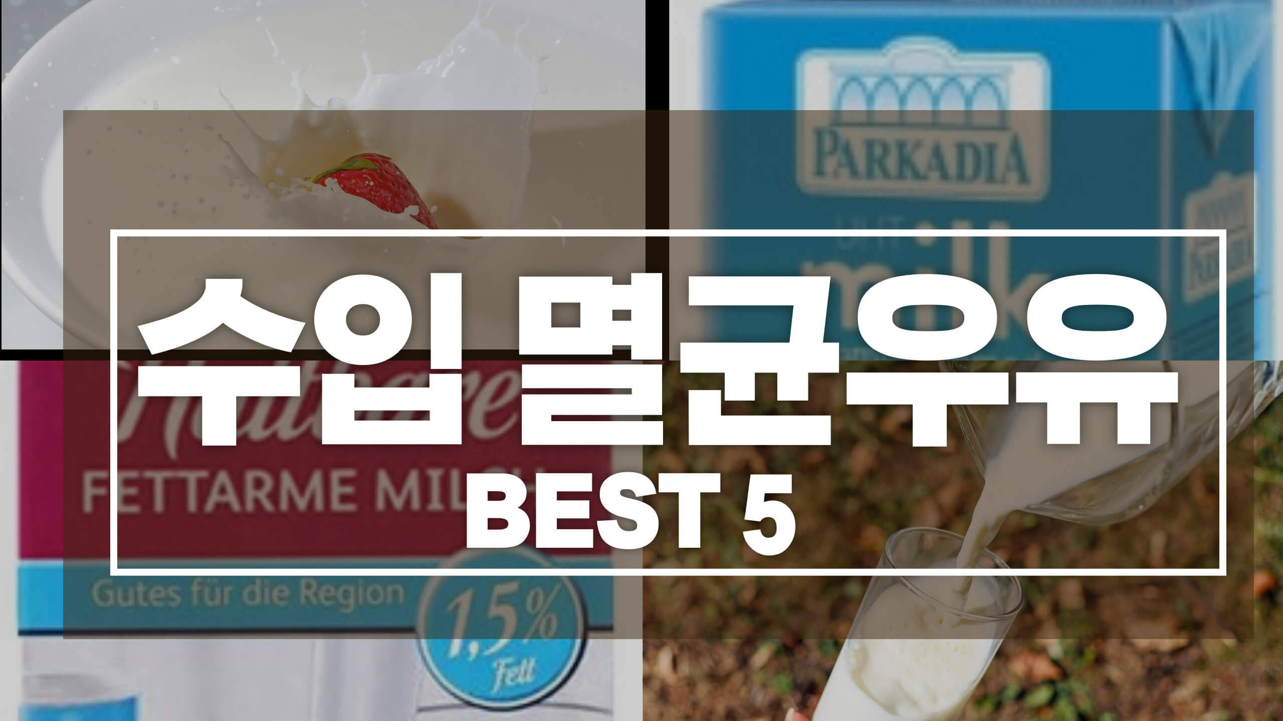 스팀청소기 추천 TOP5 구매가이드 총정리 2022년