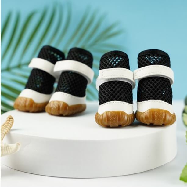 카르노코리아-메쉬-화이트-라인-신발