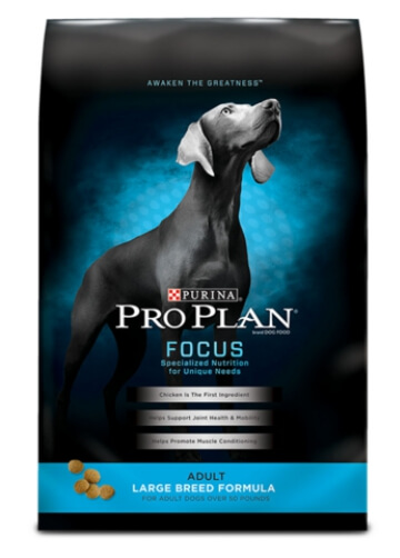 강아지 사료 추천 TOP5 구매가이드