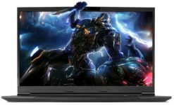 한성컴퓨터-2021-TFG-17.3